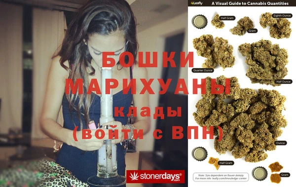 ПСИЛОЦИБИНОВЫЕ ГРИБЫ Лиски