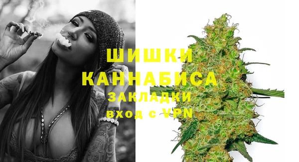 ПСИЛОЦИБИНОВЫЕ ГРИБЫ Лиски