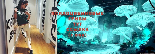 ПСИЛОЦИБИНОВЫЕ ГРИБЫ Лиски