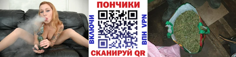 МАРИХУАНА сатива  Шахты 